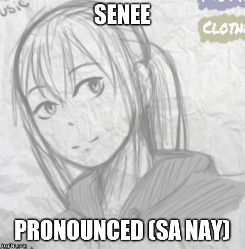 SENEE PRONOUNCED (SA NAY) | made w/ Imgflip meme maker