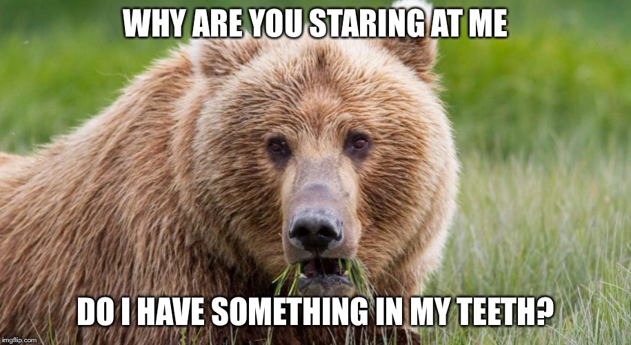 WHY ARE YOU STARING AT ME; DO I HAVE SOMETHING IN MY TEETH? | made w/ Imgflip meme maker