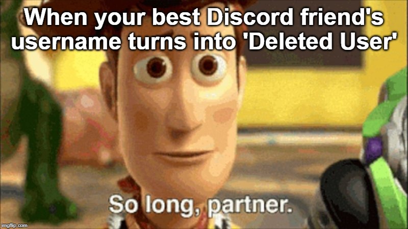 so long partner | When your best Discord friend's username turns into 'Deleted User' | image tagged in so long partner | made w/ Imgflip meme maker