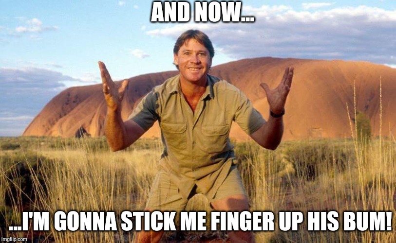 Steve Irwin Crocodile Hunter  | AND NOW... ...I'M GONNA STICK ME FINGER UP HIS BUM! | image tagged in steve irwin crocodile hunter | made w/ Imgflip meme maker