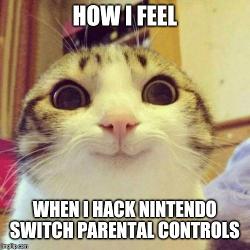 Smiling Cat | HOW I FEEL; WHEN I HACK NINTENDO SWITCH PARENTAL CONTROLS | image tagged in memes,smiling cat | made w/ Imgflip meme maker