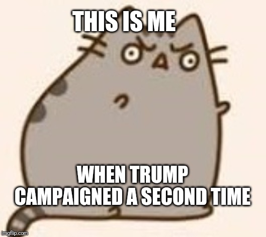 Y U NO PUSHEEN | THIS IS ME; WHEN TRUMP CAMPAIGNED A SECOND TIME | image tagged in y u no pusheen | made w/ Imgflip meme maker