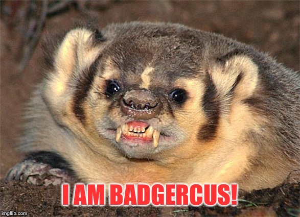 Angry Badger | I AM BADGERCUS! | image tagged in angry badger | made w/ Imgflip meme maker