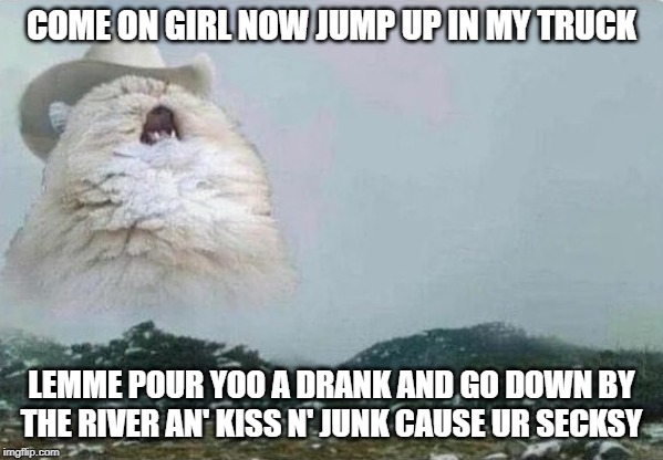 Country Cat | COME ON GIRL NOW JUMP UP IN MY TRUCK LEMME POUR YOO A DRANK AND GO DOWN BY THE RIVER AN' KISS N' JUNK CAUSE UR SECKSY | image tagged in country cat | made w/ Imgflip meme maker