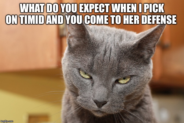 Try Me | WHAT DO YOU EXPECT WHEN I PICK ON TIMID AND YOU COME TO HER DEFENSE | image tagged in try me | made w/ Imgflip meme maker