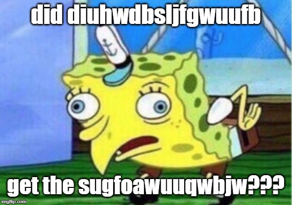 Mocking Spongebob | did diuhwdbsljfgwuufb; get the sugfoawuuqwbjw??? | image tagged in memes,mocking spongebob | made w/ Imgflip meme maker