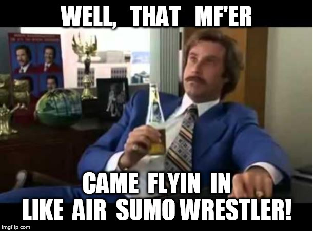 WELL,   THAT   MF'ER CAME  FLYIN  IN  LIKE  AIR  SUMO WRESTLER! | made w/ Imgflip meme maker