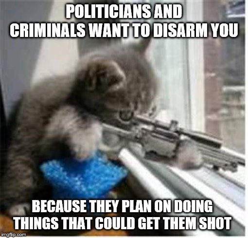 cats with guns | POLITICIANS AND CRIMINALS WANT TO DISARM YOU; BECAUSE THEY PLAN ON DOING THINGS THAT COULD GET THEM SHOT | image tagged in cats with guns | made w/ Imgflip meme maker