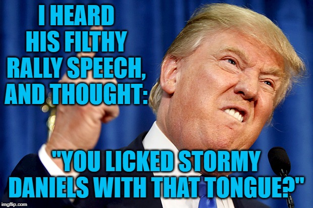 Donald Trump | I HEARD HIS FILTHY RALLY SPEECH, AND THOUGHT:; "YOU LICKED STORMY DANIELS WITH THAT TONGUE?" | image tagged in donald trump | made w/ Imgflip meme maker
