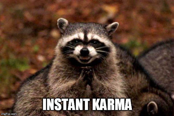 Evil Plotting Raccoon Meme | INSTANT KARMA | image tagged in memes,evil plotting raccoon | made w/ Imgflip meme maker