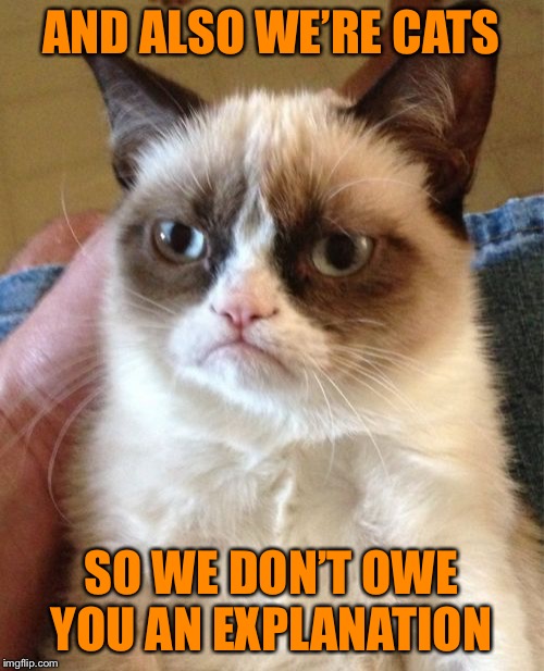 Grumpy Cat Meme | AND ALSO WE’RE CATS SO WE DON’T OWE YOU AN EXPLANATION | image tagged in memes,grumpy cat | made w/ Imgflip meme maker