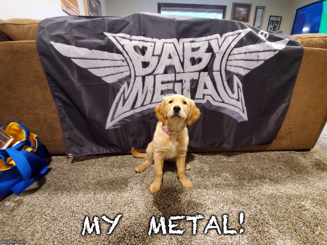 MY  METAL! | made w/ Imgflip meme maker