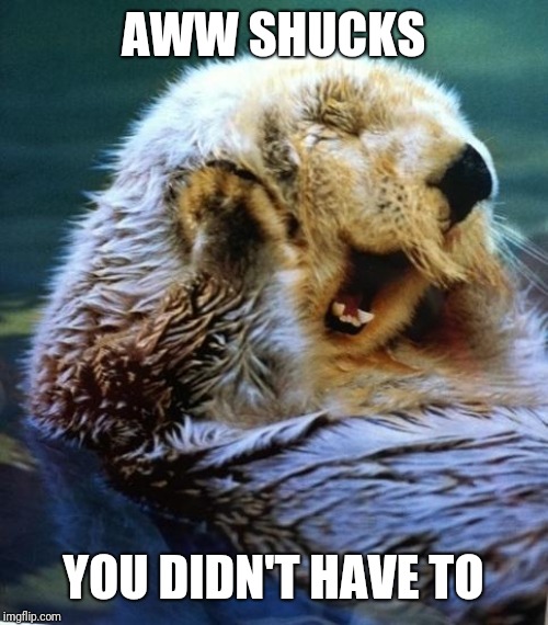 Shucks Otter AWW SHUCKS YOU DIDN'T HAVE TO image tagged in shucks otte...