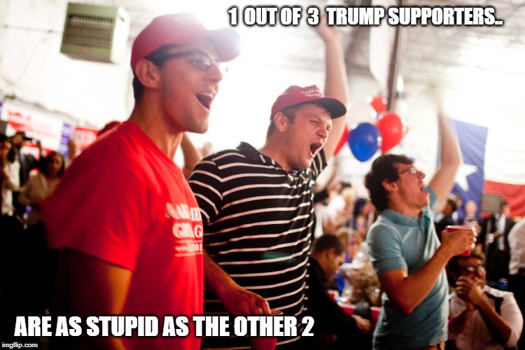 duh | 1  OUT OF  3  TRUMP SUPPORTERS.. ARE AS STUPID AS THE OTHER 2 | image tagged in trump idiots | made w/ Imgflip meme maker