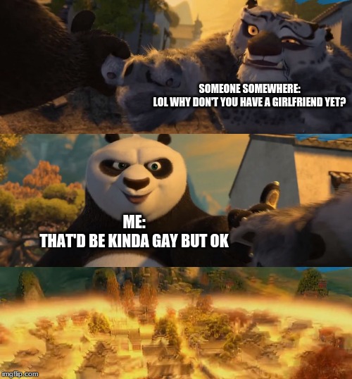 Kung Fu Panda counterpt | SOMEONE SOMEWHERE:
LOL WHY DON'T YOU HAVE A GIRLFRIEND YET? ME:
THAT'D BE KINDA GAY BUT OK | image tagged in kung fu panda counterpt,coming out,trans | made w/ Imgflip meme maker
