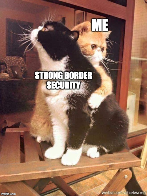 cats hugging | ME; STRONG BORDER
SECURITY | image tagged in cats hugging,secure the border | made w/ Imgflip meme maker