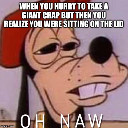 Oh Naw! Not The Lid! | WHEN YOU HURRY TO TAKE A GIANT CRAP BUT THEN YOU REALIZE YOU WERE SITTING ON THE LID | image tagged in oh naw,pooping,toilet humor,goofy,hurry up | made w/ Imgflip meme maker