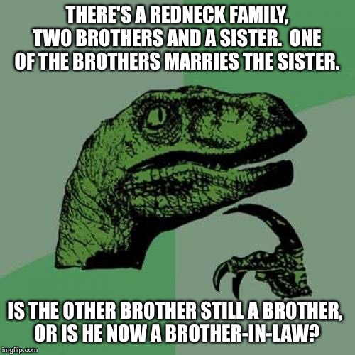 Family Ties | THERE'S A REDNECK FAMILY, TWO BROTHERS AND A SISTER.  ONE OF THE BROTHERS MARRIES THE SISTER. IS THE OTHER BROTHER STILL A BROTHER, 
OR IS HE NOW A BROTHER-IN-LAW? | image tagged in memes,philosoraptor | made w/ Imgflip meme maker