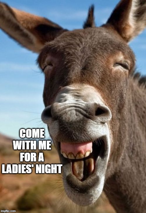 Funny Donkey | COME WITH ME FOR A LADIES' NIGHT | image tagged in funny donkey | made w/ Imgflip meme maker