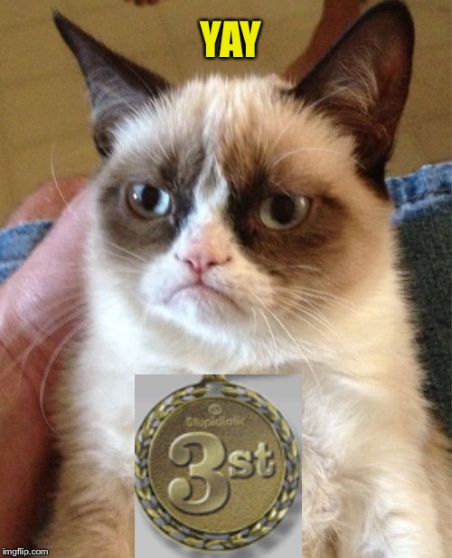 Grumpy Cat Meme | YAY | image tagged in memes,grumpy cat | made w/ Imgflip meme maker