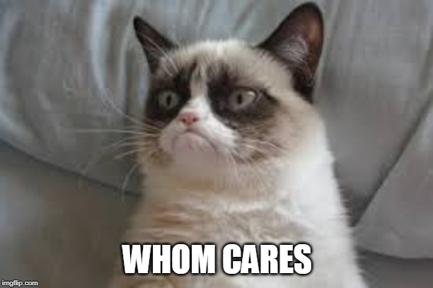 Grumpy cat | WHOM CARES | image tagged in grumpy cat | made w/ Imgflip meme maker