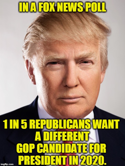 1 in 5, hey? And that's just Republicans. | IN A FOX NEWS POLL; 1 IN 5 REPUBLICANS WANT 
A DIFFERENT GOP CANDIDATE FOR 
PRESIDENT IN 2020. | image tagged in donald trump | made w/ Imgflip meme maker