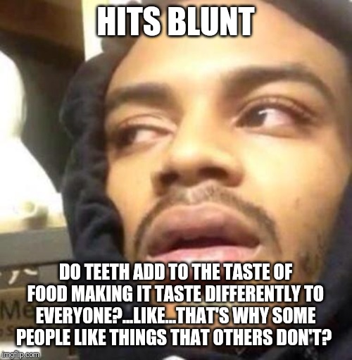 Hits Blunt | HITS BLUNT; DO TEETH ADD TO THE TASTE OF FOOD MAKING IT TASTE DIFFERENTLY TO EVERYONE?...LIKE...THAT'S WHY SOME PEOPLE LIKE THINGS THAT OTHERS DON'T? | image tagged in hits blunt | made w/ Imgflip meme maker