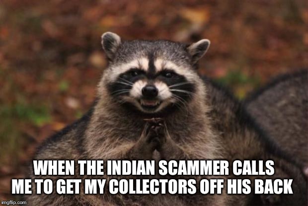 Hello from Bombay | WHEN THE INDIAN SCAMMER CALLS ME TO GET MY COLLECTORS OFF HIS BACK | image tagged in evil genius racoon,scammers | made w/ Imgflip meme maker