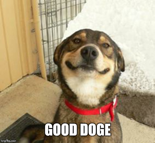 Good Dog Greg | GOOD DOGE | image tagged in good dog greg | made w/ Imgflip meme maker