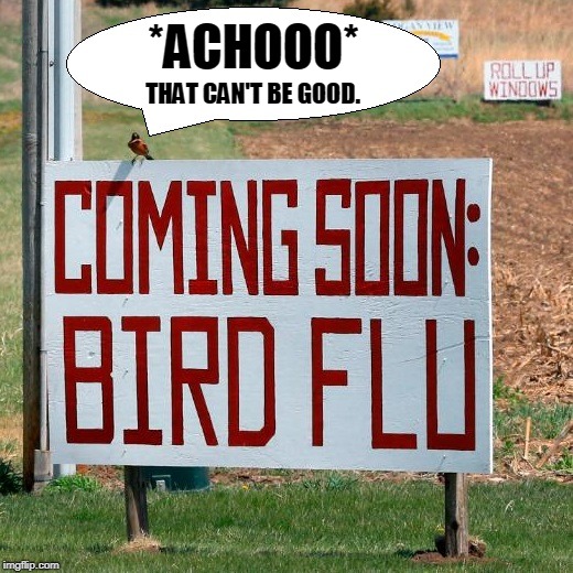 Bird Flu Bird | *ACHOOO*; THAT CAN'T BE GOOD. | image tagged in bird flu bird | made w/ Imgflip meme maker