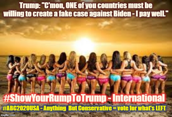 ShowYourRumpToTrump - International | Trump: "C'mon, ONE of you countries must be willing to create a fake case against Biden - I pay well."; #ShowYourRumpToTrump - International; #ABC2020USA - Anything  But Conservative = vote for what's LEFT | image tagged in trump,rump,impeach,criminal,show your rump to trump | made w/ Imgflip meme maker