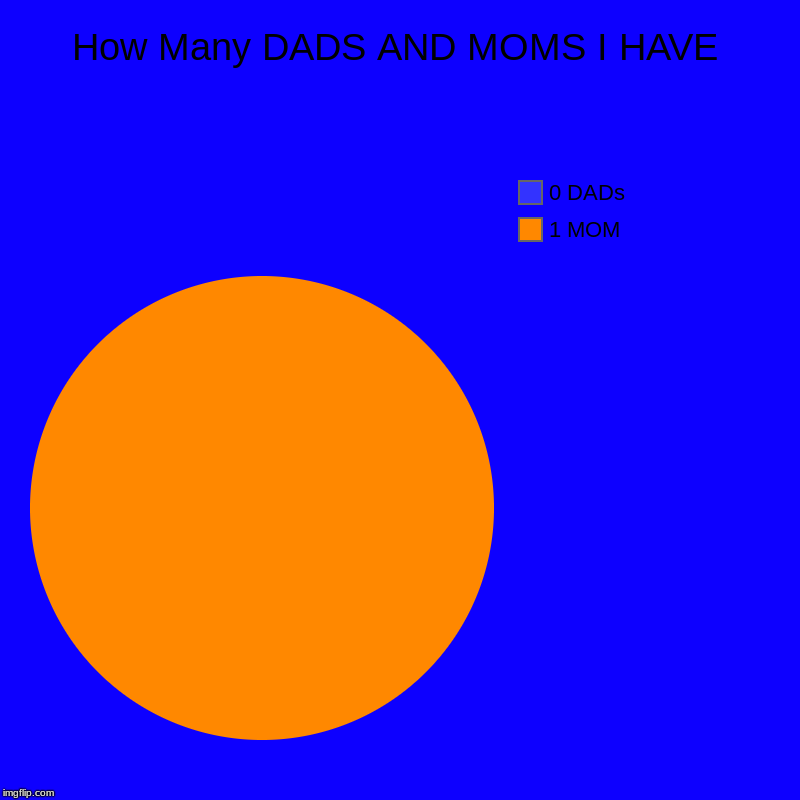 How Many DADS AND MOMS I HAVE | 1 MOM, 0 DADs | image tagged in charts,pie charts | made w/ Imgflip chart maker