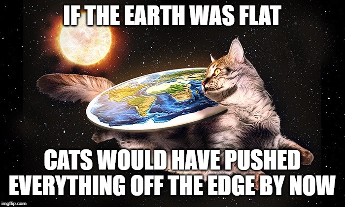 Flat Earth Cat | IF THE EARTH WAS FLAT CATS WOULD HAVE PUSHED EVERYTHING OFF THE EDGE BY NOW | image tagged in flat earth cat | made w/ Imgflip meme maker