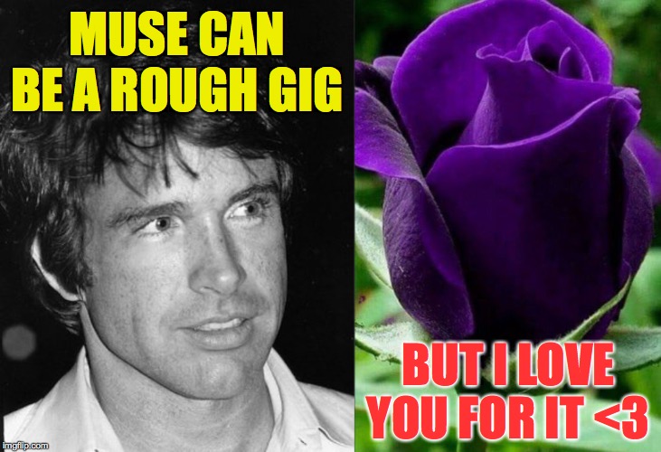MUSE CAN BE A ROUGH GIG BUT I LOVE YOU FOR IT <3 | made w/ Imgflip meme maker