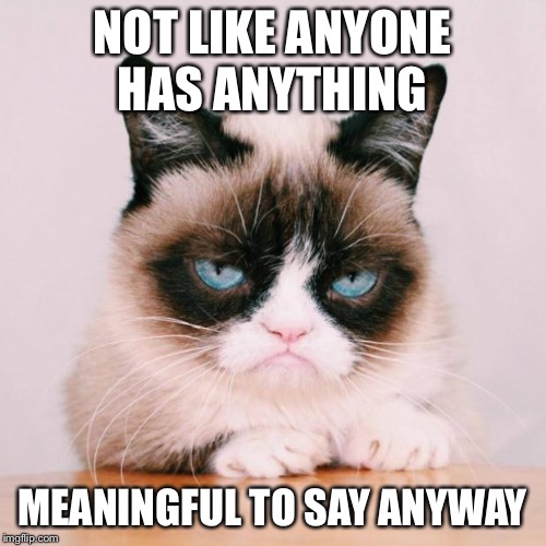 grumpy cat again | NOT LIKE ANYONE HAS ANYTHING MEANINGFUL TO SAY ANYWAY | image tagged in grumpy cat again | made w/ Imgflip meme maker
