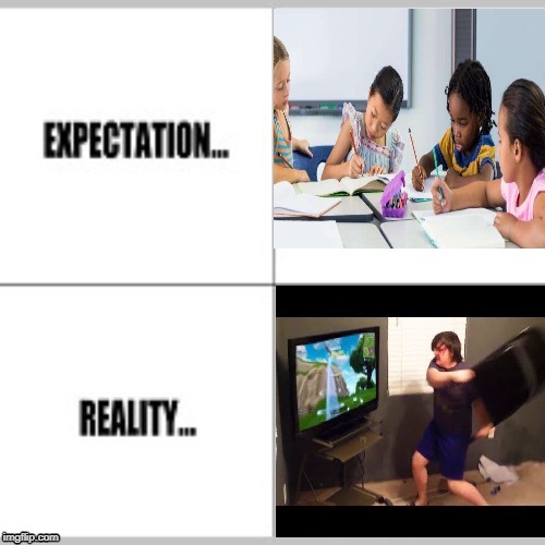 Excpectation | image tagged in fortnite,funny,expectation vs reality | made w/ Imgflip meme maker