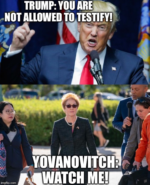 TRUMP: YOU ARE NOT ALLOWED TO TESTIFY! YOVANOVITCH: WATCH ME! | image tagged in yovanovitch meme,yovanovitch walking into court,trump impeachment,trump ukraine meme | made w/ Imgflip meme maker