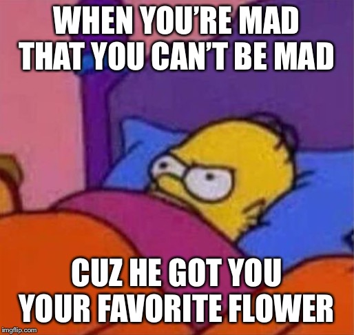 angry homer simpson in bed | WHEN YOU’RE MAD THAT YOU CAN’T BE MAD CUZ HE GOT YOU YOUR FAVORITE FLOWER | image tagged in angry homer simpson in bed | made w/ Imgflip meme maker