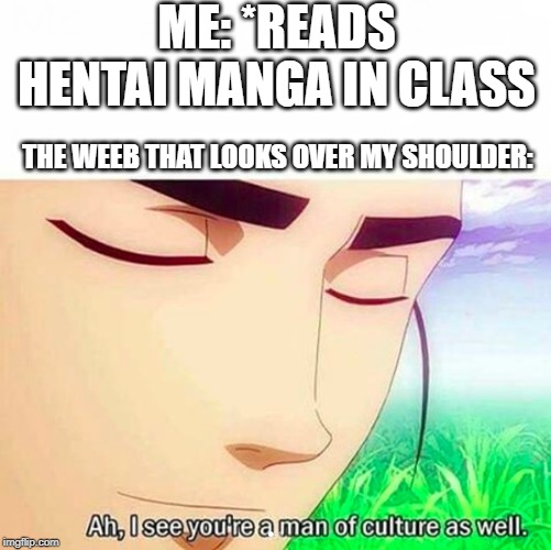 Ah,I see you are a man of culture as well | ME: *READS HENTAI MANGA IN CLASS; THE WEEB THAT LOOKS OVER MY SHOULDER: | image tagged in ah i see you are a man of culture as well | made w/ Imgflip meme maker