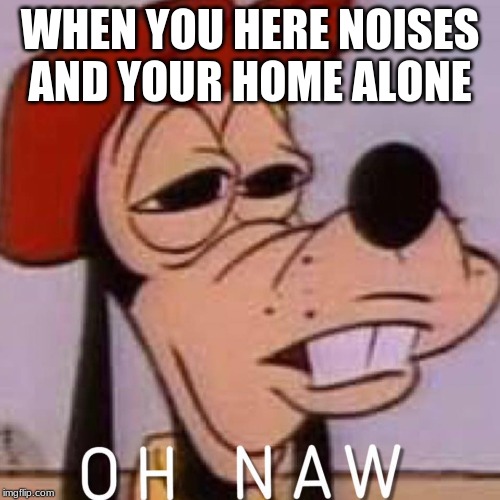 OH NAW | WHEN YOU HERE NOISES AND YOUR HOME ALONE | image tagged in oh naw | made w/ Imgflip meme maker