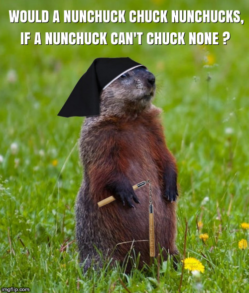 image tagged in woodchuck,nunchucks,nun,martial arts,holy,bruce lee | made w/ Imgflip meme maker