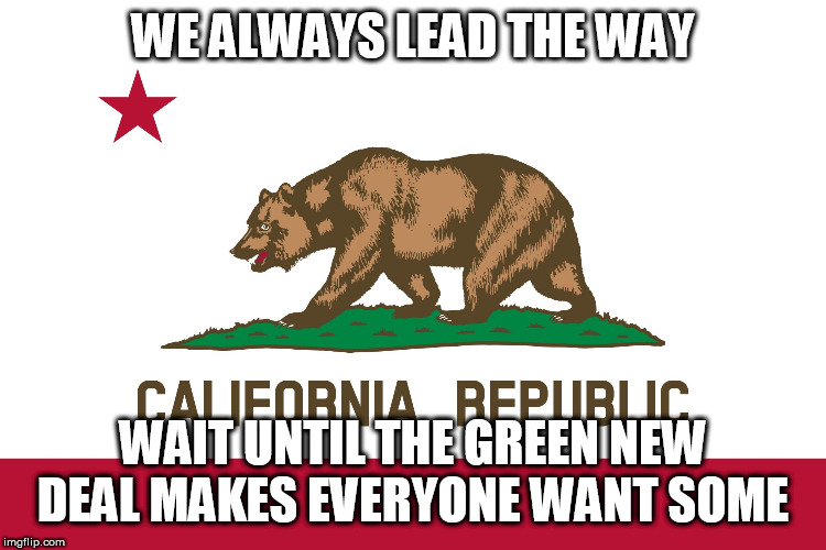 California Flag | WE ALWAYS LEAD THE WAY WAIT UNTIL THE GREEN NEW DEAL MAKES EVERYONE WANT SOME | image tagged in california flag | made w/ Imgflip meme maker
