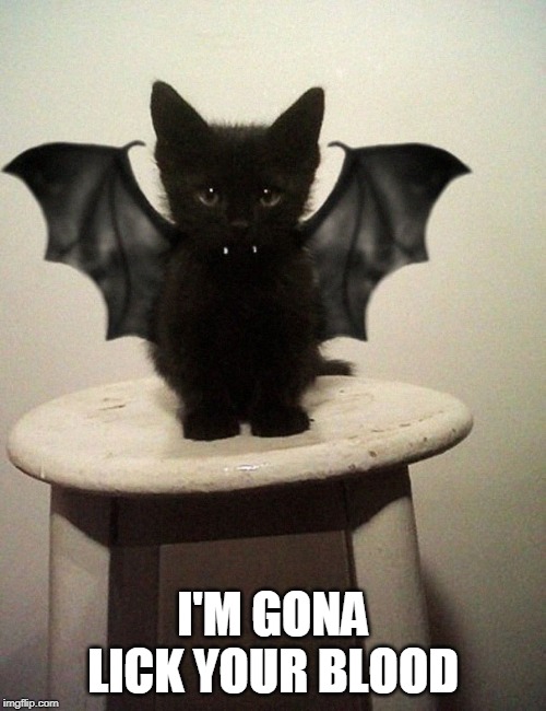 CATBAT | I'M GONA LICK YOUR BLOOD | image tagged in cats,kitten,halloween | made w/ Imgflip meme maker