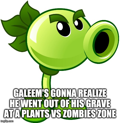 Repeater | GALEEM'S GONNA REALIZE HE WENT OUT OF HIS GRAVE AT A PLANTS VS ZOMBIES ZONE | image tagged in repeater | made w/ Imgflip meme maker