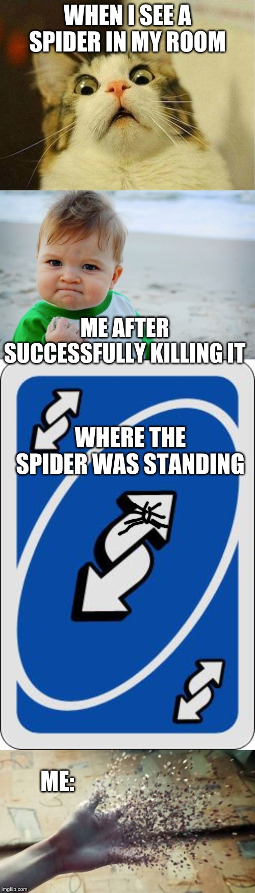 reverse destruction | WHEN I SEE A SPIDER IN MY ROOM; ME AFTER SUCCESSFULLY KILLING IT; WHERE THE SPIDER WAS STANDING; ME: | image tagged in memes,success kid original,scared cat,disintegration,uno reverse card,destruction 100 | made w/ Imgflip meme maker