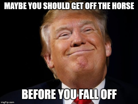 Trump smug |  MAYBE YOU SHOULD GET OFF THE HORSE; BEFORE YOU FALL OFF | image tagged in trump smug | made w/ Imgflip meme maker