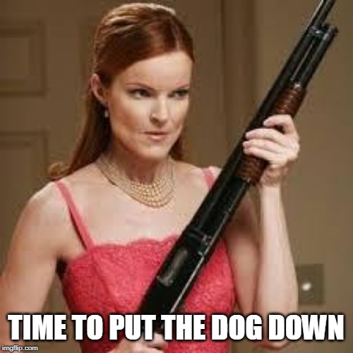 wife with a shotgun | TIME TO PUT THE DOG DOWN | image tagged in wife with a shotgun | made w/ Imgflip meme maker