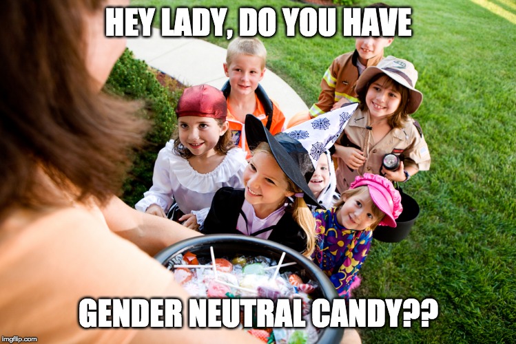 Halloween handouts | HEY LADY, DO YOU HAVE; GENDER NEUTRAL CANDY?? | image tagged in halloween handouts | made w/ Imgflip meme maker