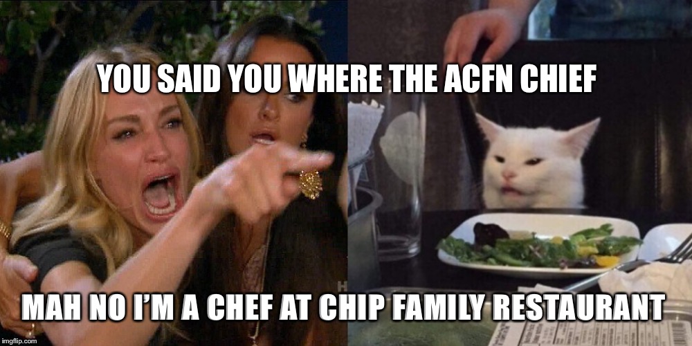 Woman yelling at cat | YOU SAID YOU WHERE THE ACFN CHIEF; MAH NO I’M A CHEF AT CHIP FAMILY RESTAURANT | image tagged in woman yelling at cat | made w/ Imgflip meme maker