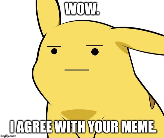 Pikachu Is Not Amused | WOW. I AGREE WITH YOUR MEME. | image tagged in pikachu is not amused | made w/ Imgflip meme maker